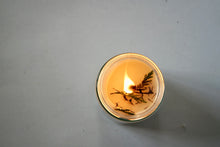 Load image into Gallery viewer, Twigs &amp; Spruce Soy Candle - 8 oz
