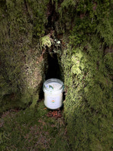 Load image into Gallery viewer, Twigs &amp; Spruce Soy Candle - 8 oz
